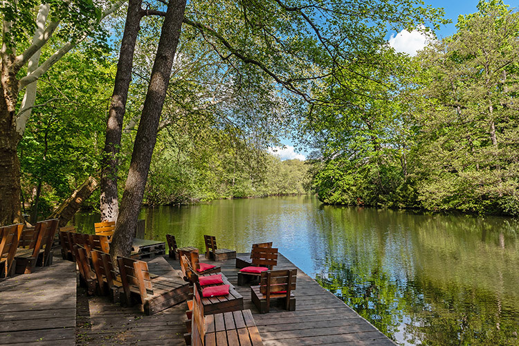 Tiergarten