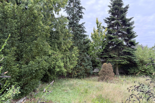 AnsichtenGrundstueck