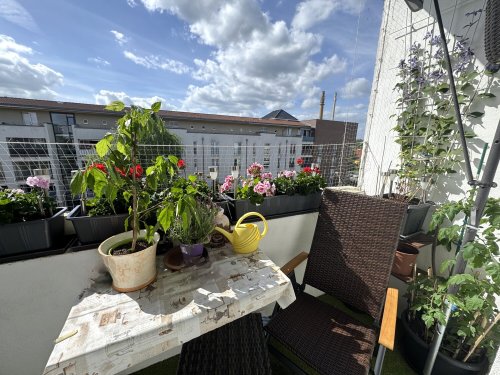 Sonnenbalkon