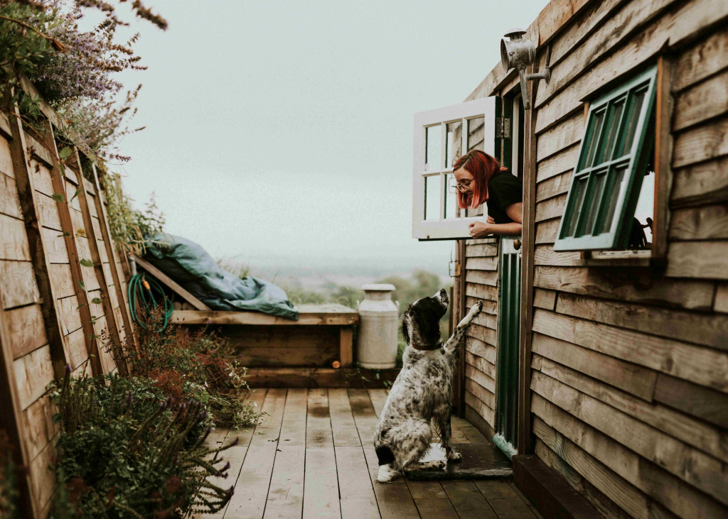 Hund klopft an die Kl&ouml;nt&uuml;r einer Frau.