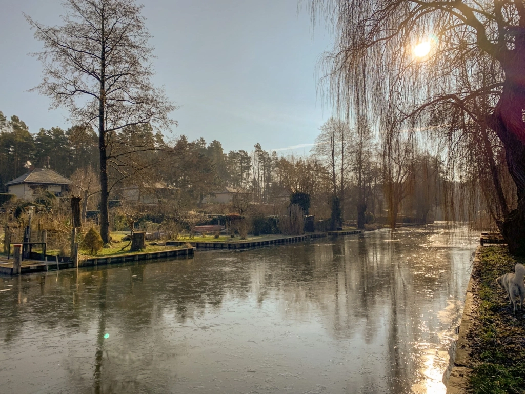 Immobilie Haus Wohnung verkaufen kaufen Brandenburg Ostprignitz Ruppin.
