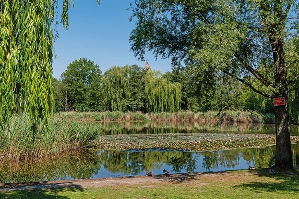 Immobilie Haus Wohnung verkaufen kaufen Berlin Tempelhof Sch&ouml;neberg Lichtenrade.