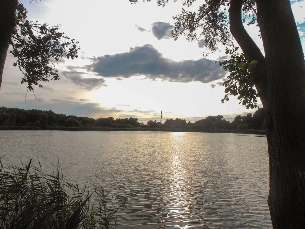 Immobilie Haus Wohnung verkaufen kaufen Berlin Lichtenberg Malchow.