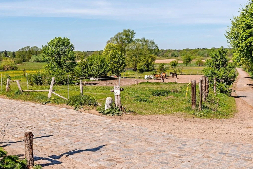 Immobilie Haus Wohnung verkaufen kaufen Berlin Pankow Rosenthal.