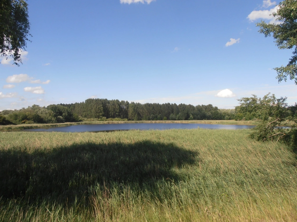 Immobilie Haus Wohnung verkaufen kaufen Berlin Pankow Stadtrandsiedlung Malchow.