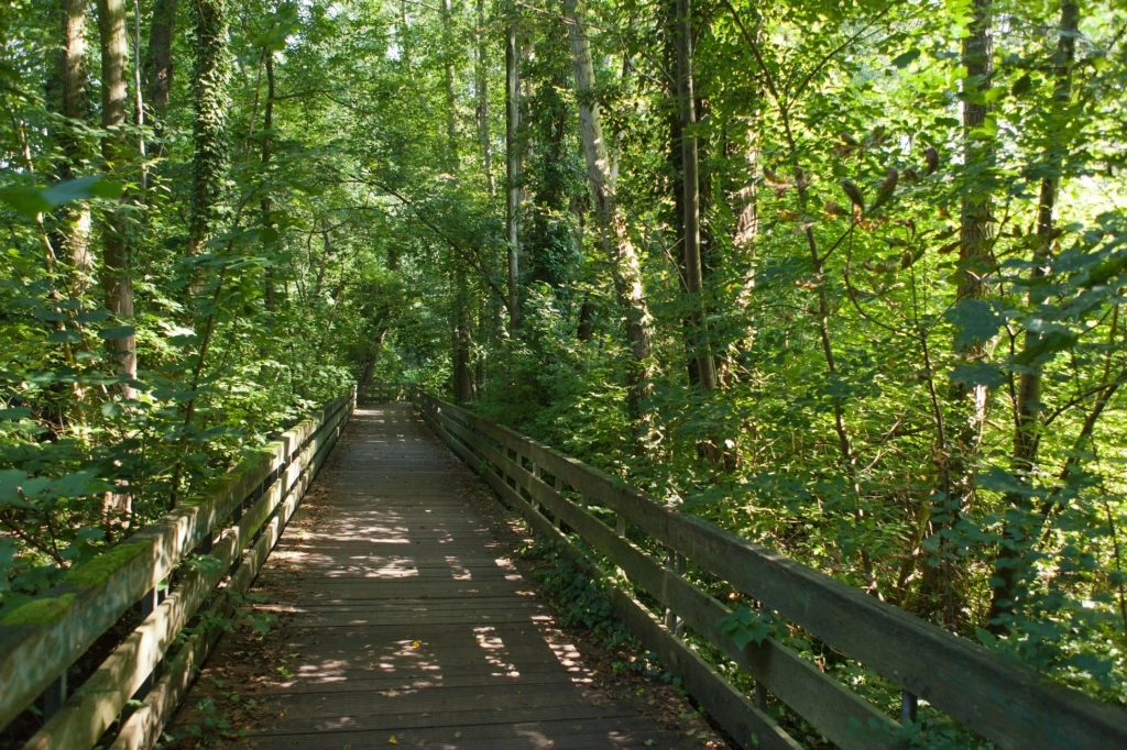 Immobilie Haus Wohnung verkaufen kaufen Berlin Reinickendorf Waidmannslust.