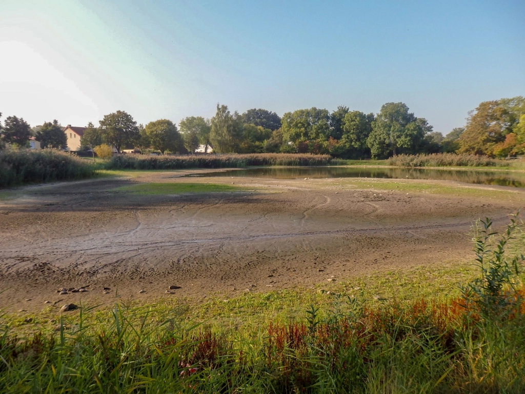 Immobilie Haus Wohnung verkaufen kaufen Berlin Lichtenberg Wartenberg.