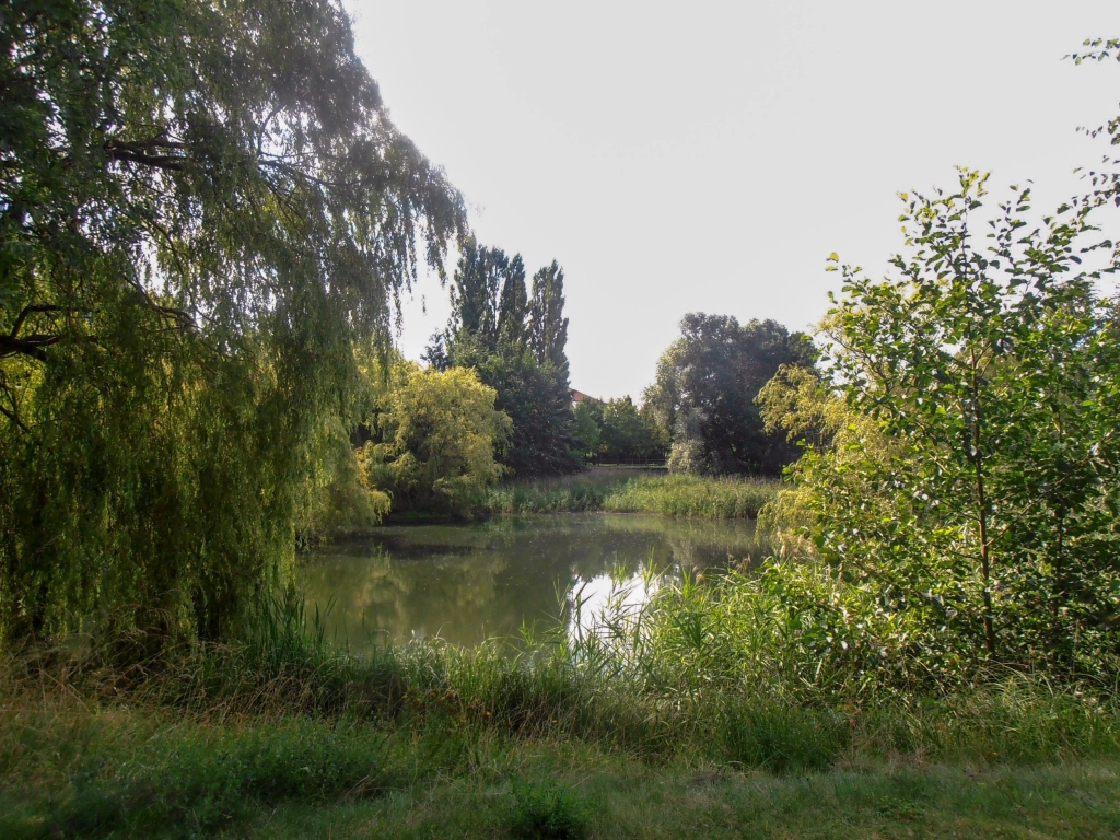 Immobilie Haus Wohnung verkaufen kaufen Berlin Pankow Wilhelmsruh.